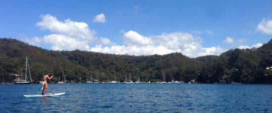 SUP in New South Wales, Australia