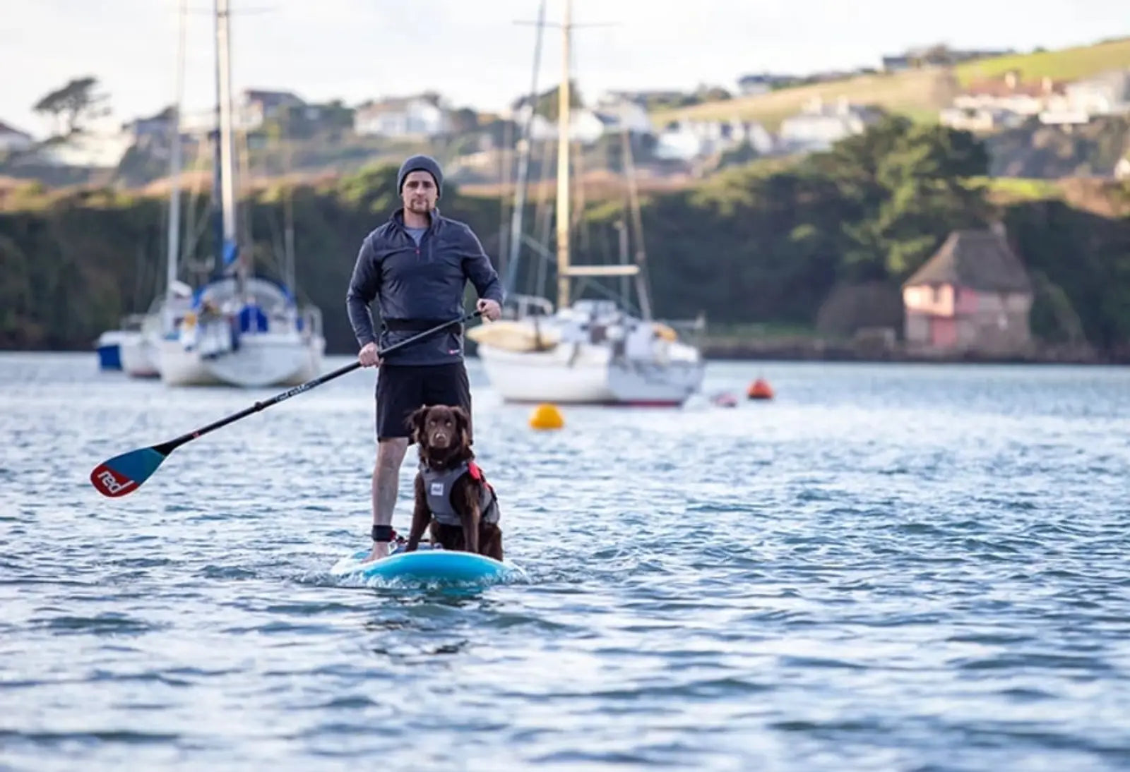 A man and his dog paddleboarding in the sea