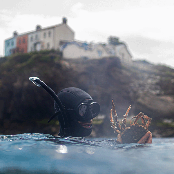 From Paddle To Plate: Meet The Seafood Foraging Adventurers