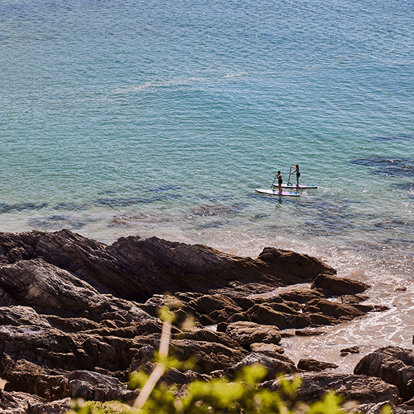 Paddleboarding in Devon - The 5 Best Places To Go in 2023