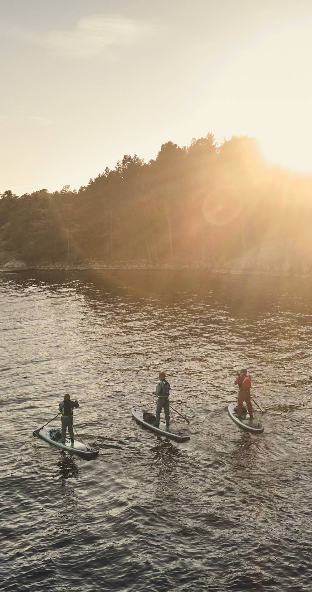 5 Apps For Paddle Boarding You Need In 2026
