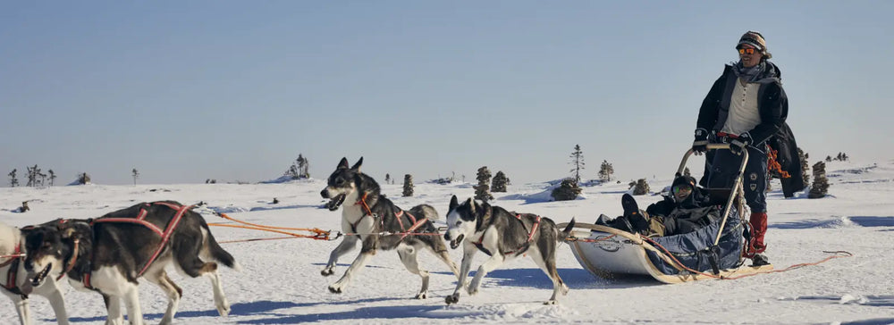 A man riding a sled with husky dogs pulling the sled in the snow