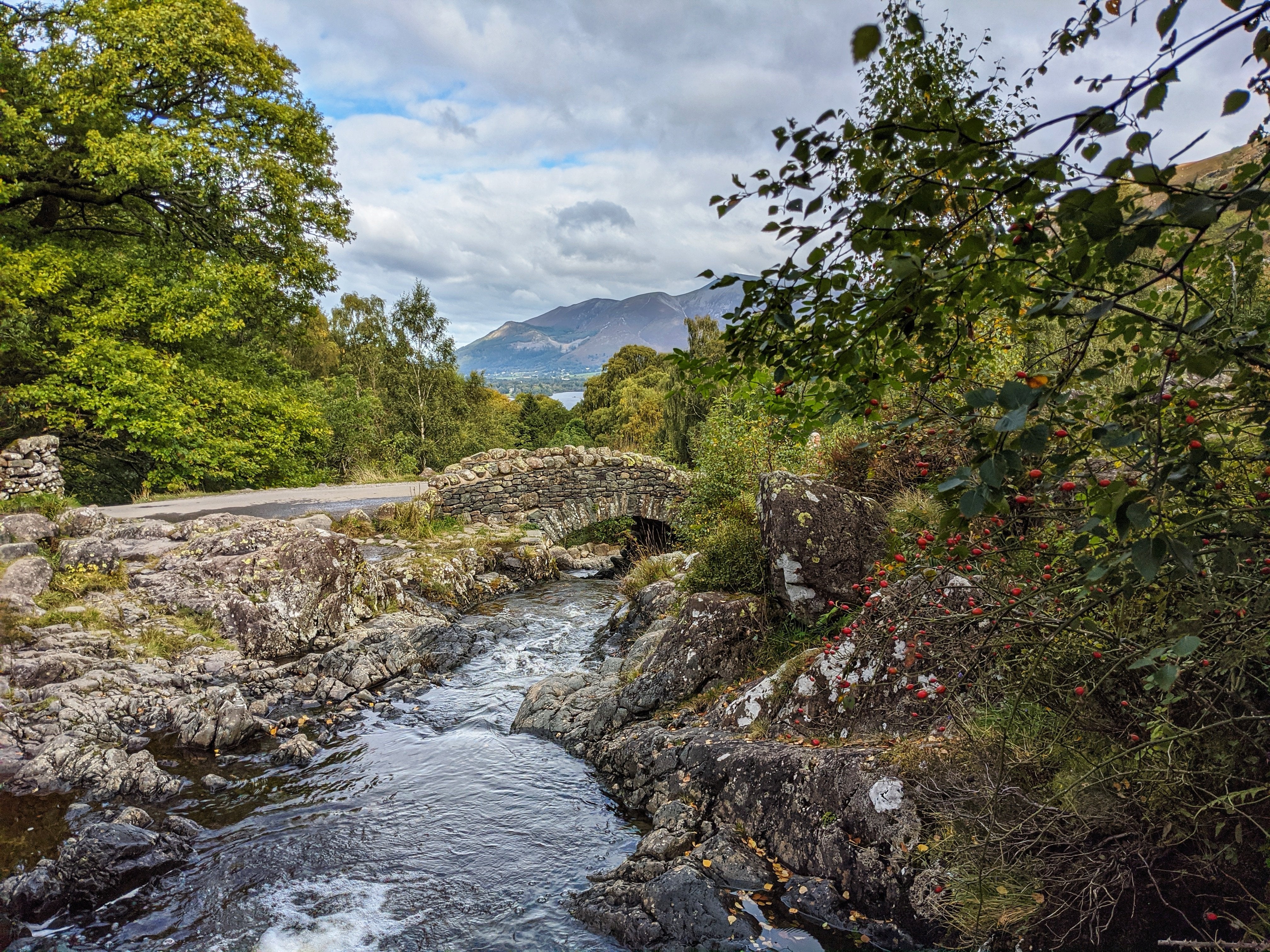 A picturesque country landscape