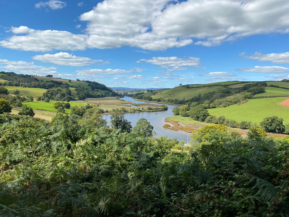 River Dart from near Totnes, Devon