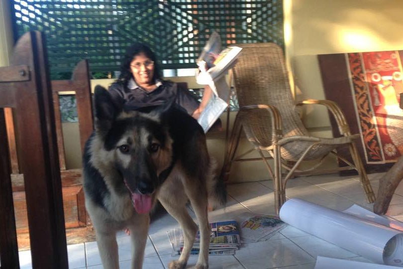 Kev brady takes on sri lanka – day 7, Kev brady takes on sri lanka – day 7, Kev brady takes on sri lanka – day 7