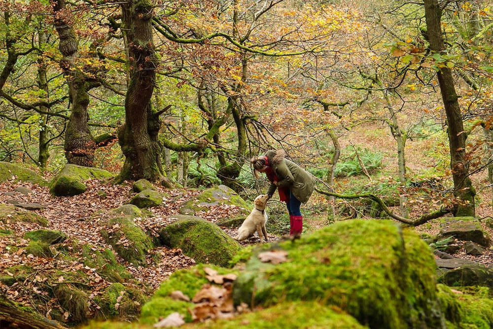 Woman and a dog in a forest