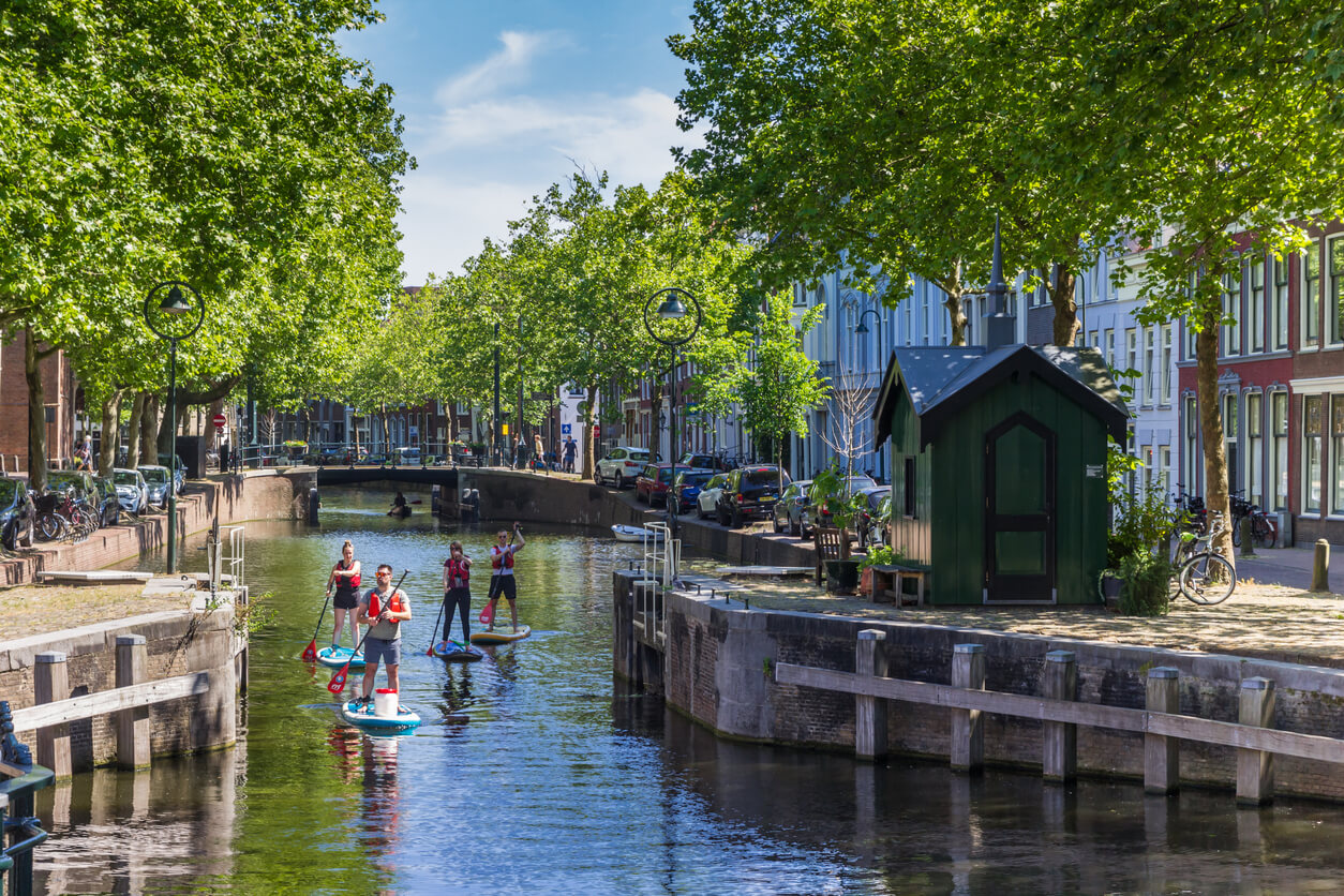 Four people paddle boarding in Canal