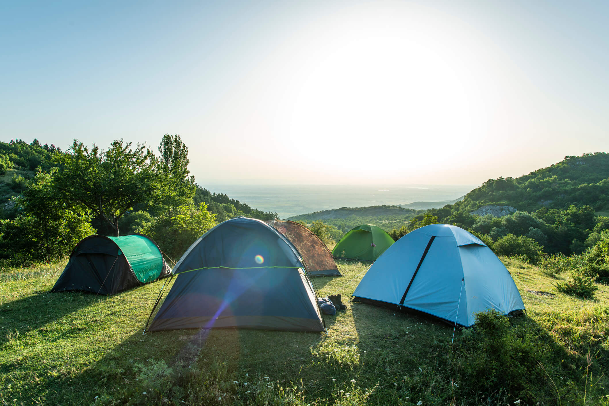 5 tents ready for festival camping.