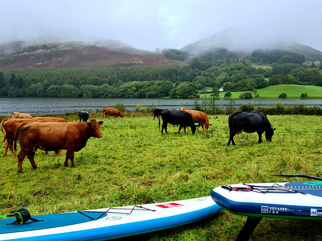 Paddle Boarding in the Lake District – Loweswater