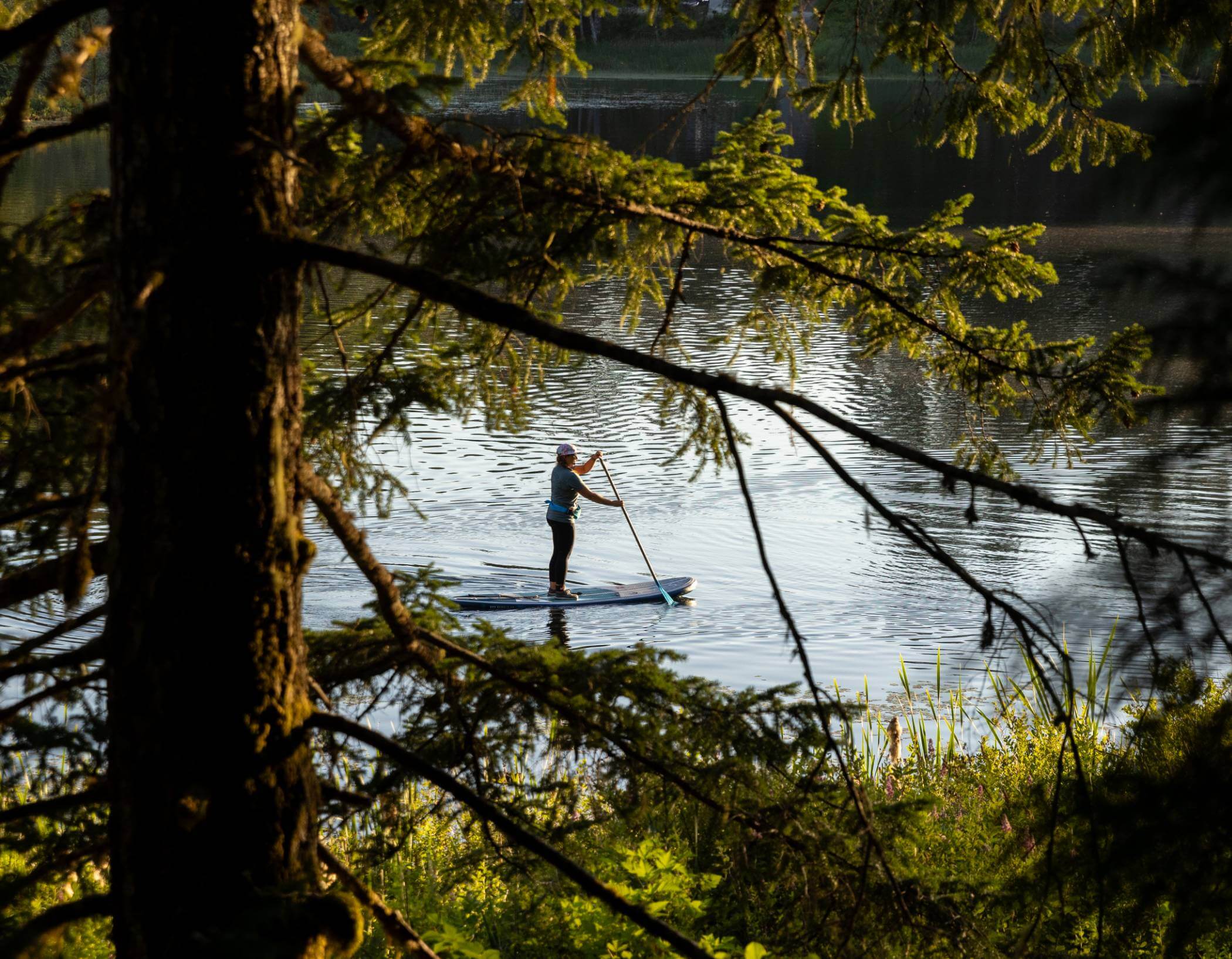 A person paddleboarding on a lake, with a view through the trees