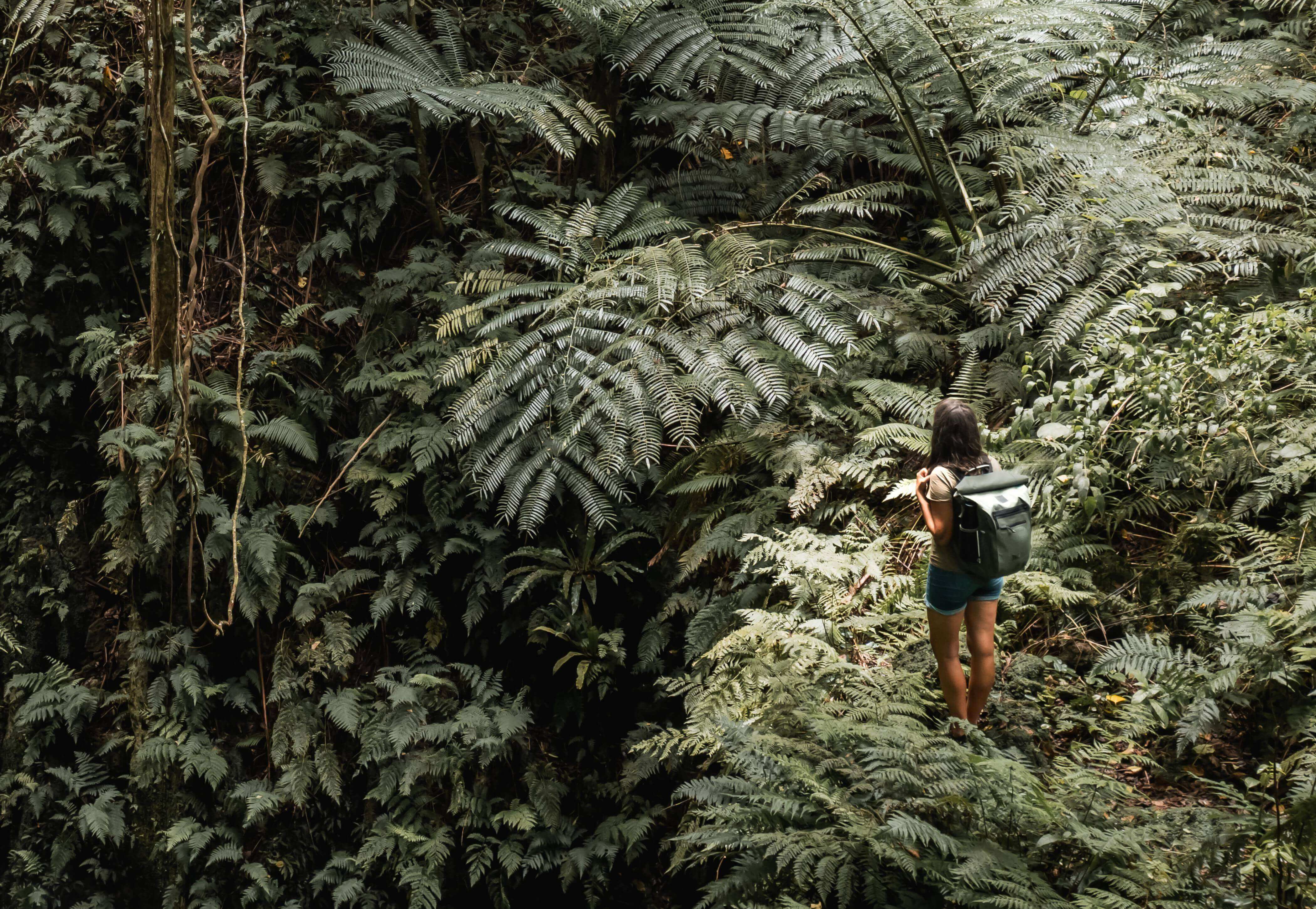 Woman amongst the trees in a forest wearing Red's olive green Adventure Waterproof Backpack.