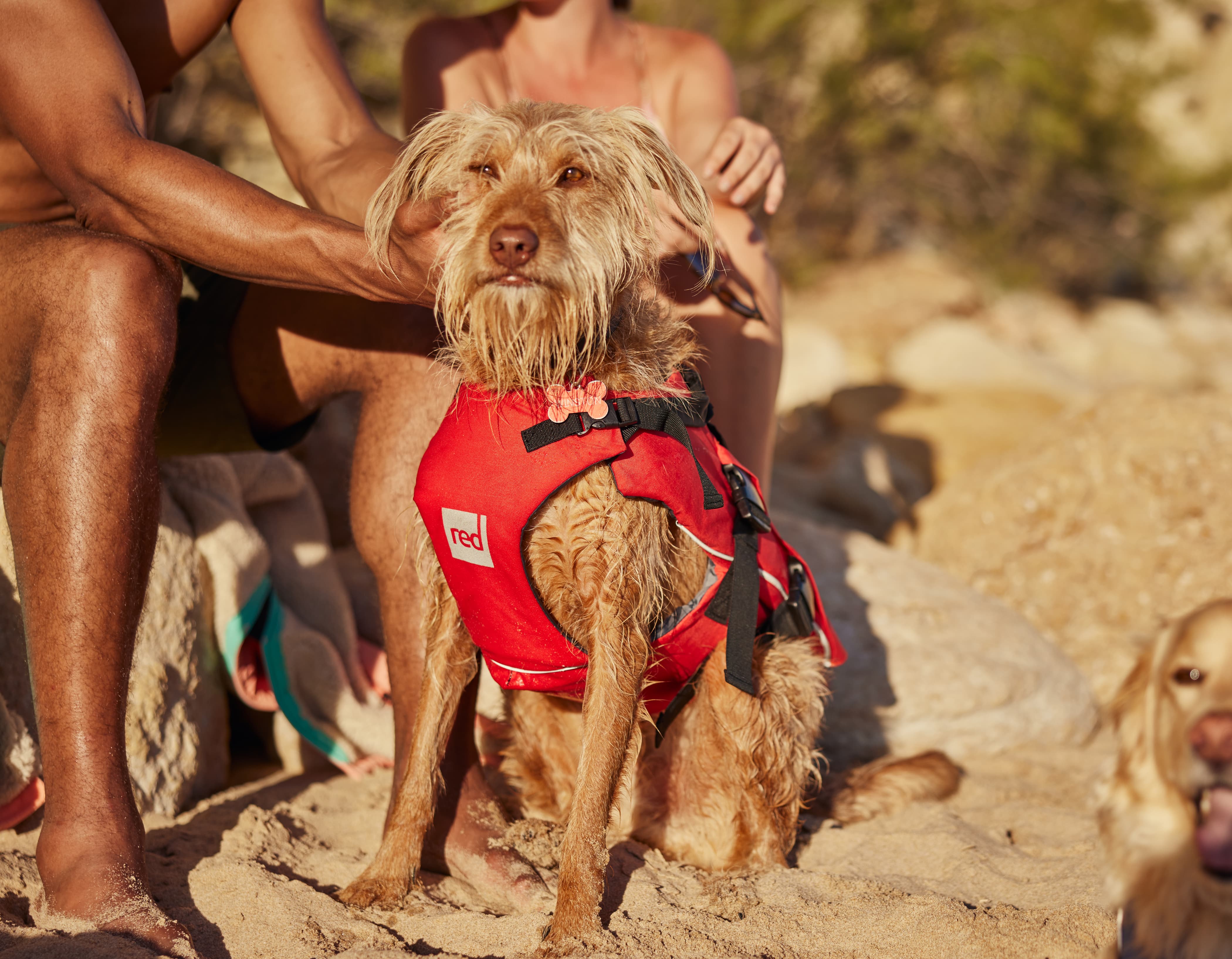 Red Equipment Dog Buoyancy Aid Red – Red Equipment UK
