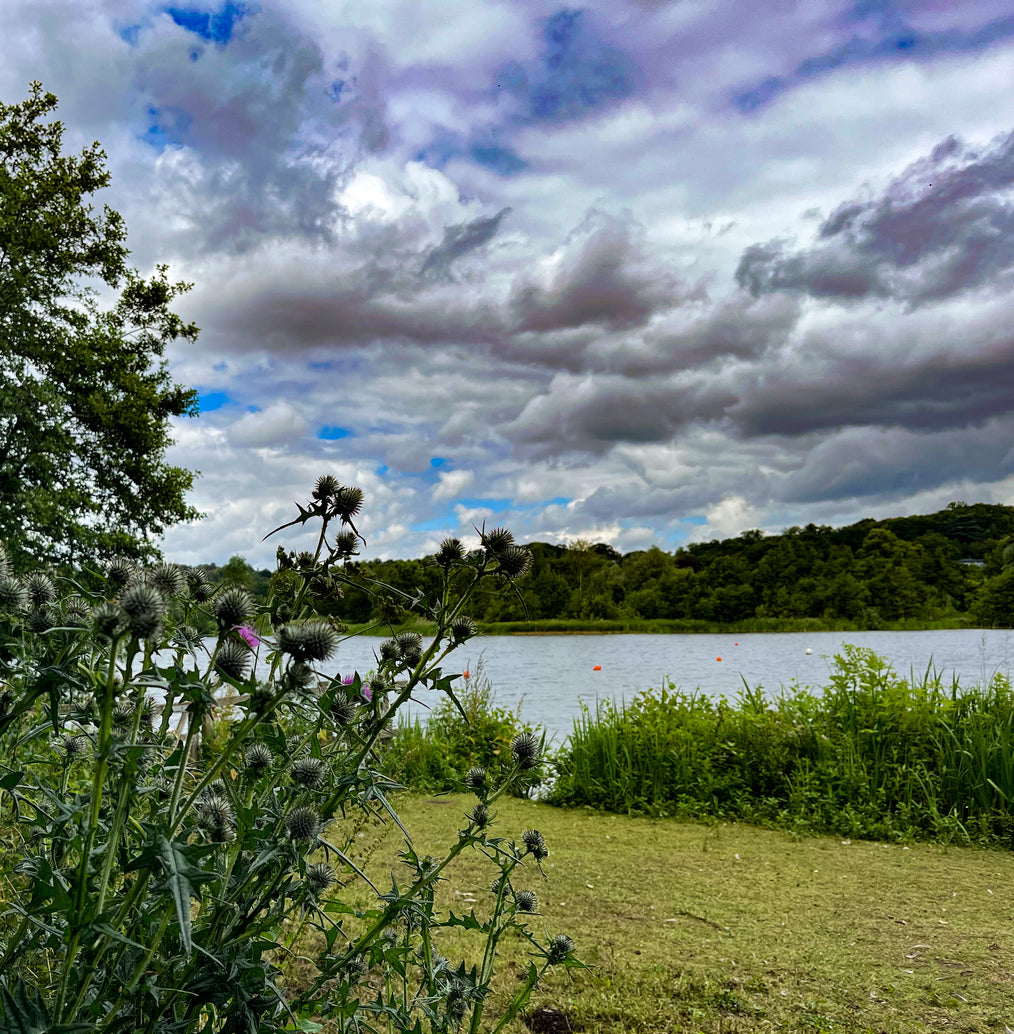 whitlingham great broad